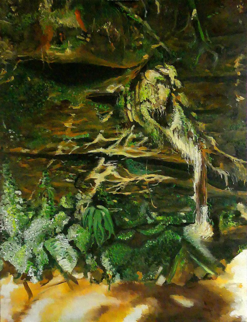 Changing reflections of the Deer pond - a Paintings by Belaubre Yves